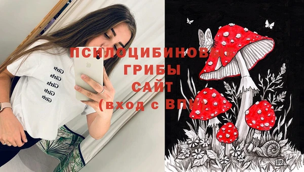 прущие грибы Алексеевка