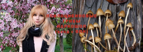 метадон Алексин