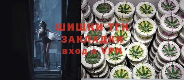 МДПВ Алзамай