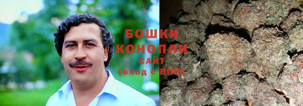 прущие грибы Алексеевка