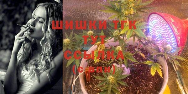 прущие грибы Алексеевка