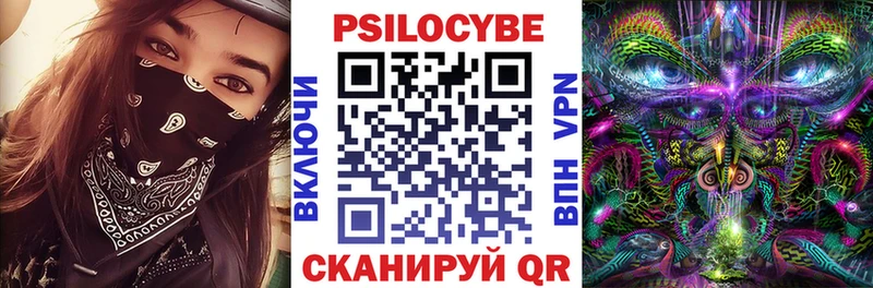 Псилоцибиновые грибы Cubensis  где найти   Усть-Лабинск 